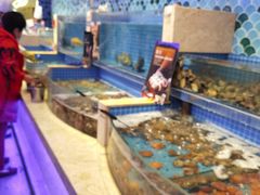 水产区-乔哥铭洋海鲜自助(皇城恒隆广场店)