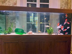 -ALBERGUE 1601 婆仔屋葡国餐厅