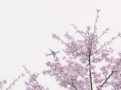 -尚贤河湿地