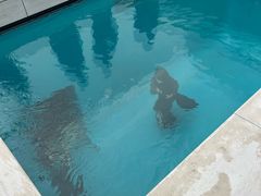 -金泽21世纪美术馆