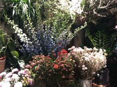 -春暖花开(西溪店)