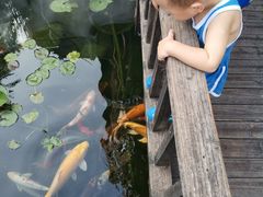 -凤凰山斑鱼馆(恭城店)