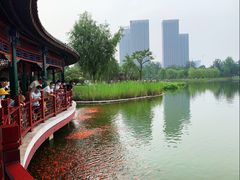 -西海子公园