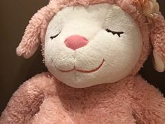 景观位-海底捞火锅(亲子主题北金鹰店)