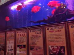 -芳草堂中医门诊部(怡芳苑店)
