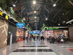 -谢列梅捷沃国际机场