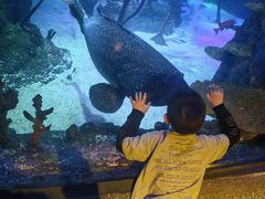 -沈阳海洋探索中心