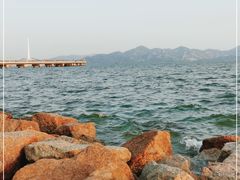 -深圳湾公园(南山区)