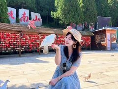 -龙口南山旅游景区