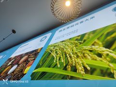 -半天妖烤鱼(西直门凯德mall店)