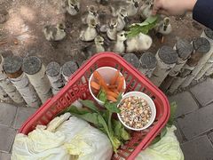 -水上乐园·欢乐世界