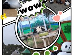 -苏州太湖国家湿地公园