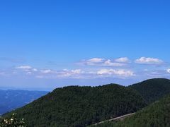 -武陵山森林公园