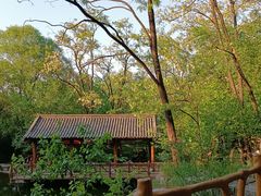-封龙山风景区