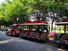 -大明宫国家遗址公园·御道广场