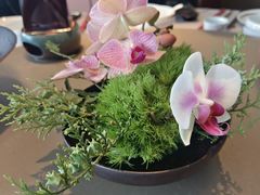 -金海华·悦食东方(苏州中心商场店)