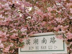 -石家庄市植物园