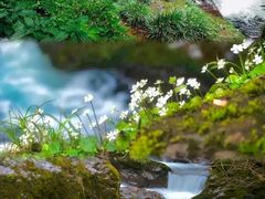 -龙苍沟森林公园