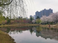 -堤角公园