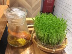 -广顺鑫猪肚鸡(经八路店)