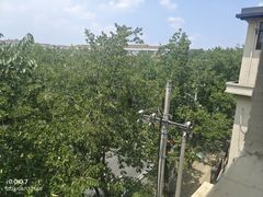 -中国湿地博物馆