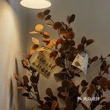 世界尽头的咖啡