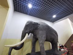 -国家自然博物馆