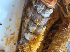 -顺德了能馆(虎门店)