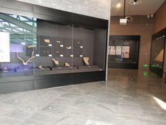 -北京周口店北京人遗址博物馆