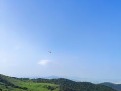 -大姆山草场