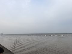 -观潮胜地公园