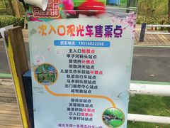 -合肥滨湖国家森林公园