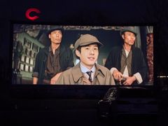 -枫花园汽车电影院(朝阳公园店)