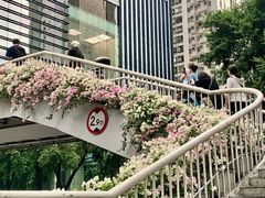 -广州市正骨医院
