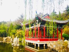 -龙口南山旅游景区