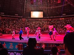 -俄罗斯国家大马戏团