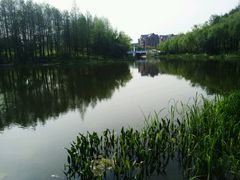 -新江湾城公园