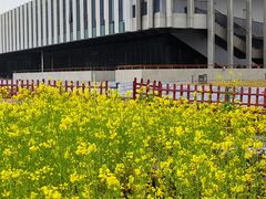 -同济大学(嘉定校区)