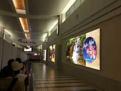 -关岛国际机场|安东尼奥·汪帕特国际机场