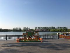 -上海长兴岛郊野公园