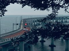 -星海湾跨海大桥