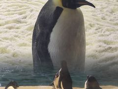 -珠海长隆海洋王国