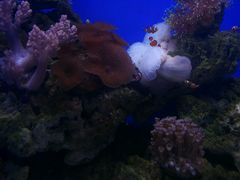 -常州海昌海洋探索馆