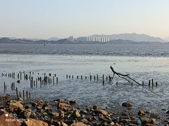 -深圳湾公园(南山区)