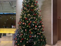 -香港恒丰酒店