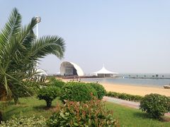 -碧海金沙