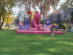 -西安电影制片厂