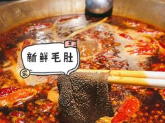 -小龙坎火锅(春熙太古里店)