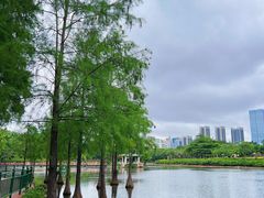 -深圳龙潭公园