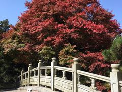 -庐山风景区花径公园